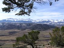 This week's specticular walk and chores