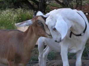 Brendan and his sister Brigid