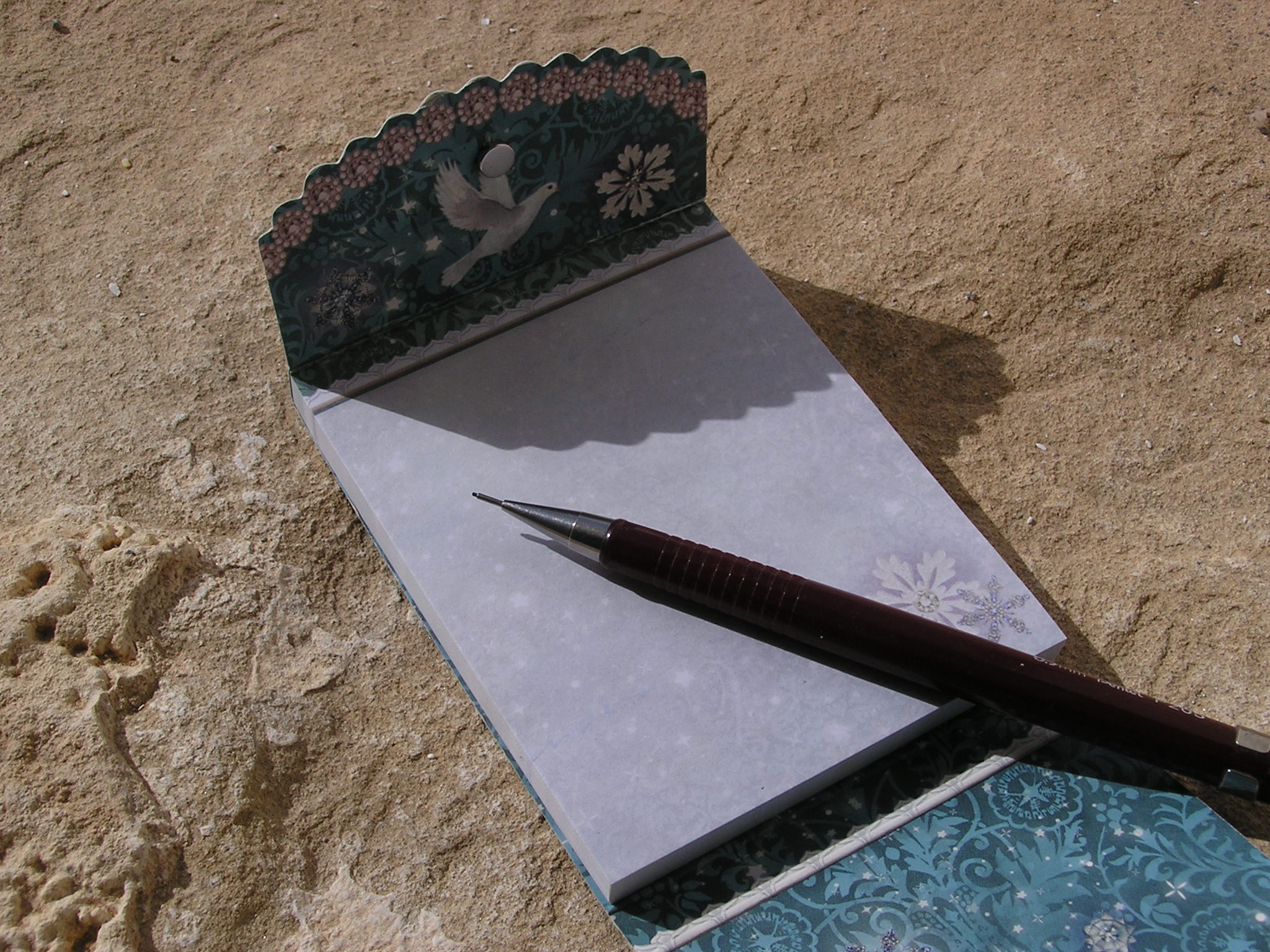 OLYMPUS DIGITAL CAMERA