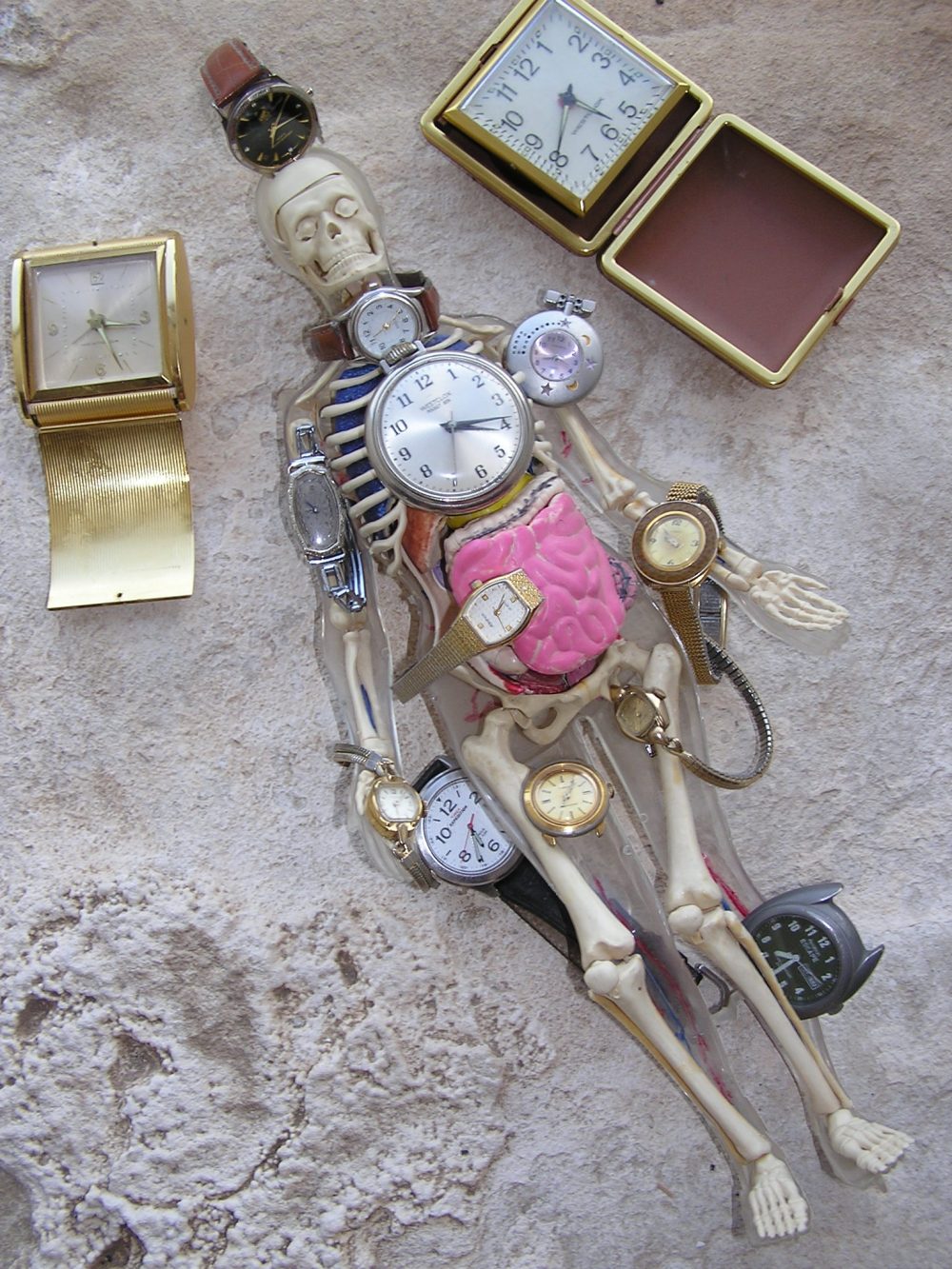 OLYMPUS DIGITAL CAMERA