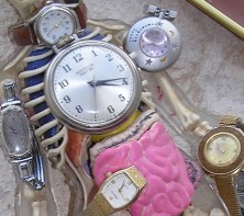 OLYMPUS DIGITAL CAMERA