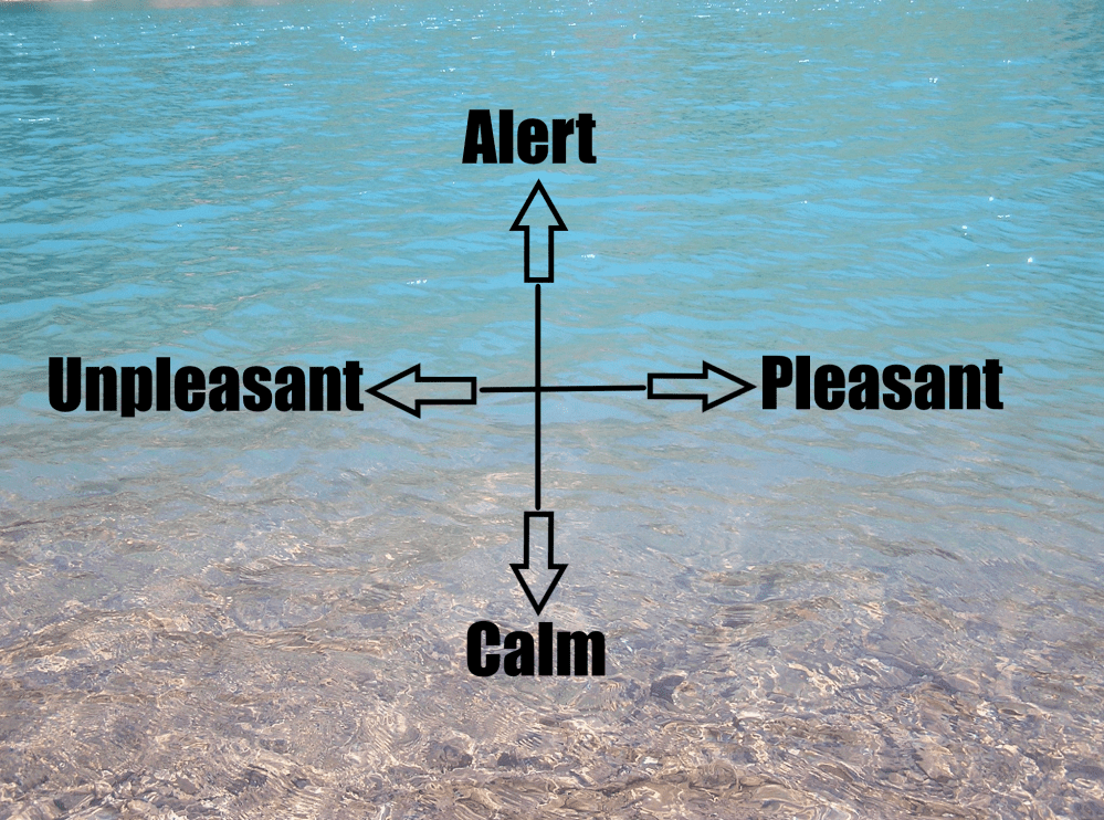 alert calm pleasant
