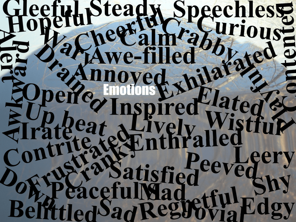 Emotion words